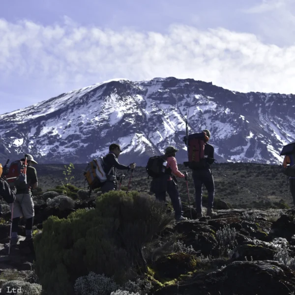 Mount Kilimanjaro Northern Circuit (8 Days)