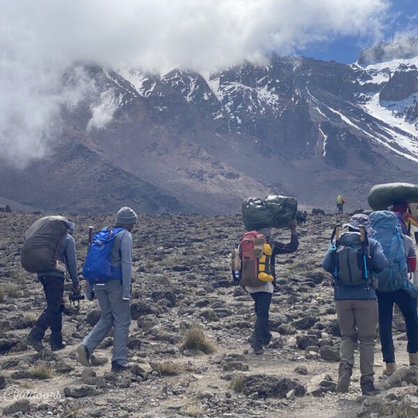 Mount Kilimanjaro Northern Circuit (9 Days)