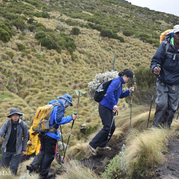 Mount kenya Chogoria-Sirimon Route-7 Days